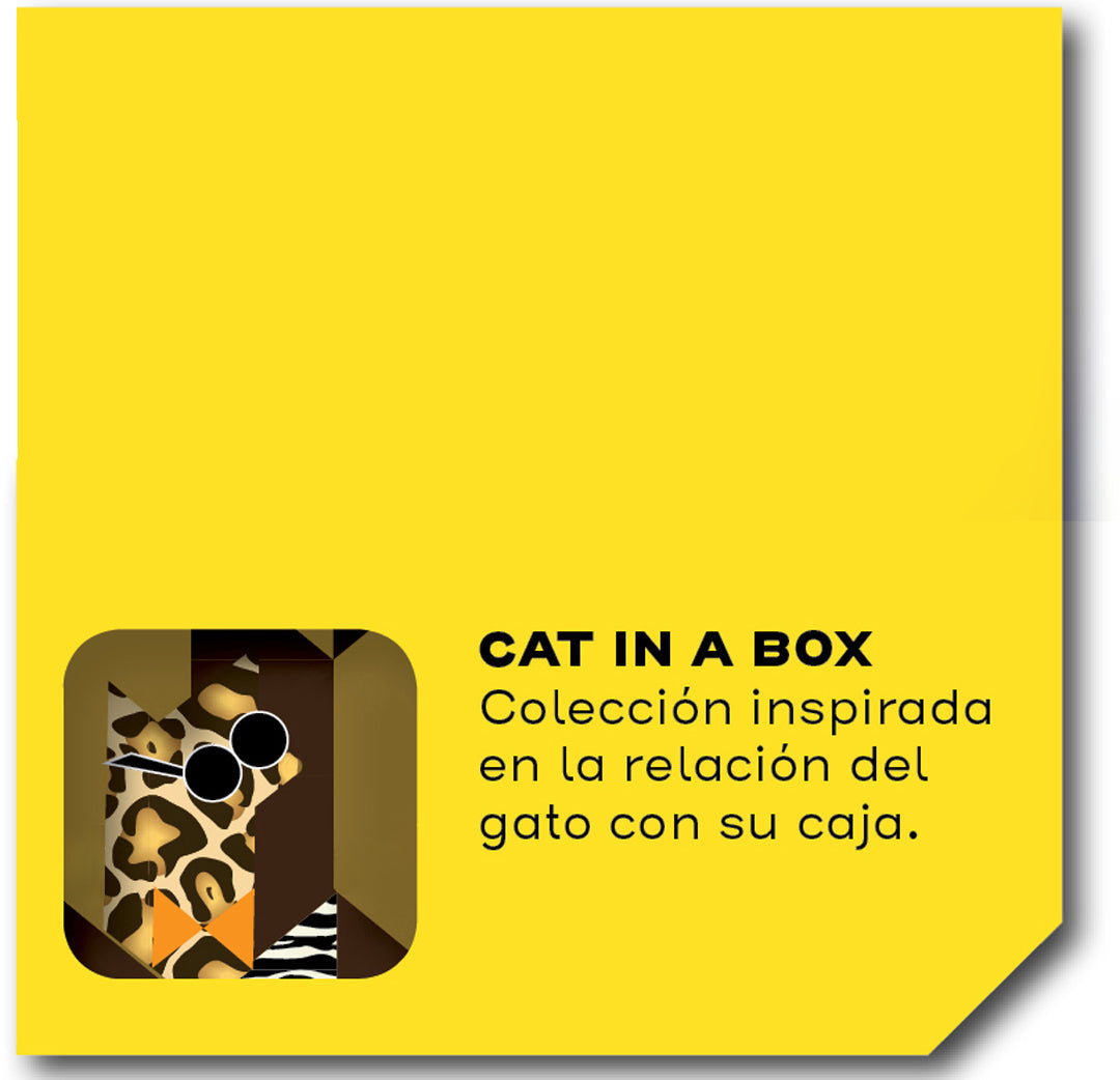 CAT IN A BOX